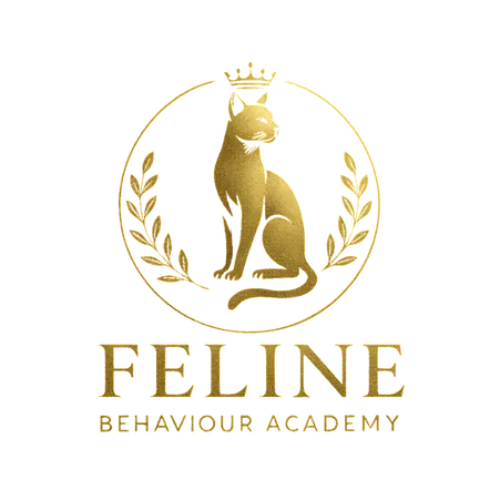 Feline Behaviour Academy